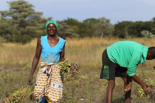 Appui aux promoteurs agricoles après suppression de la fixation du prix